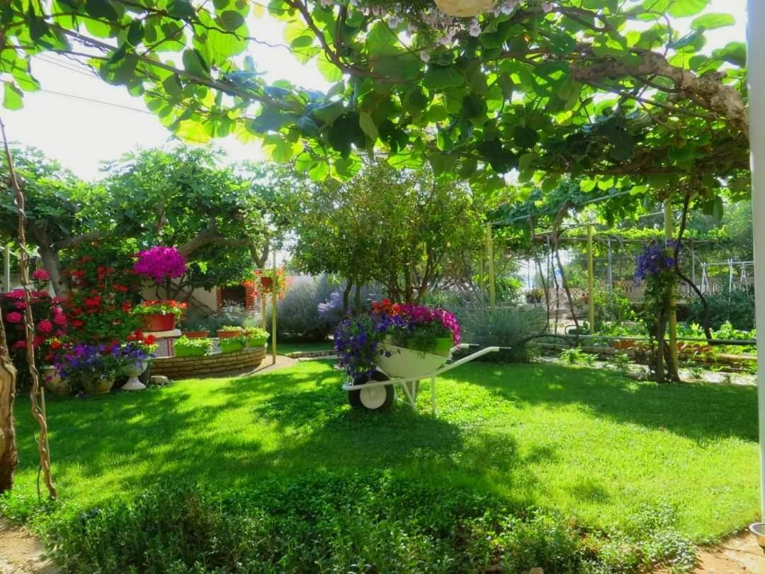 Beach Apartment Roza Biograd Oneroom - Premium Location Biograd Na Moru Dış mekan fotoğraf